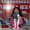 Yaeko 3rd Best Cat